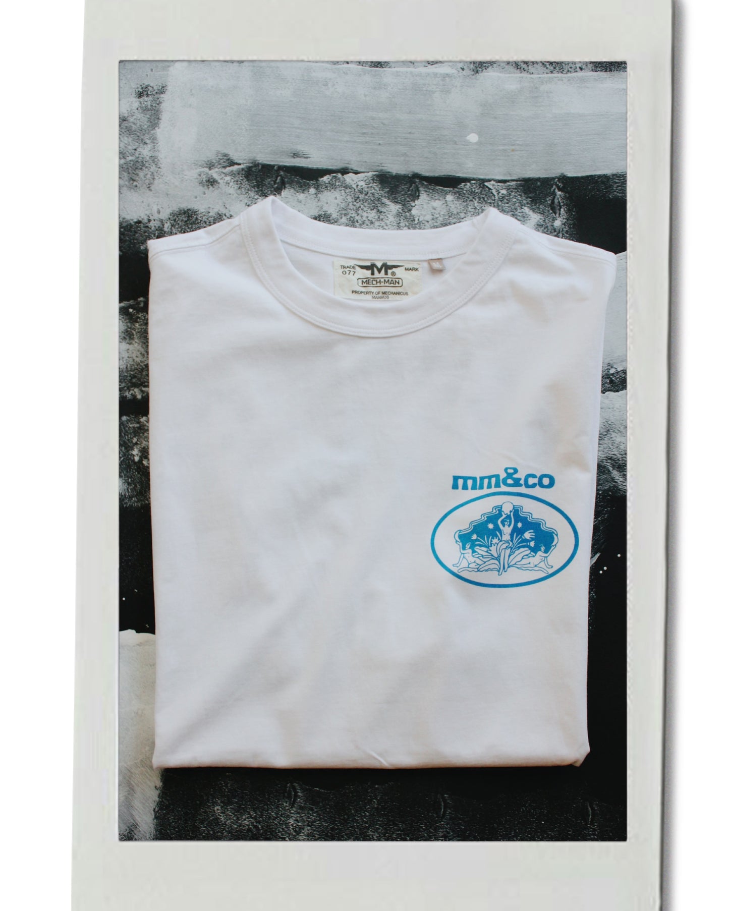 The “ earthly delights” tee