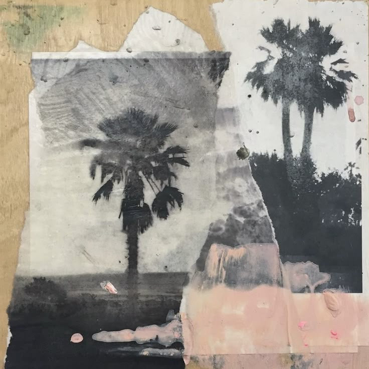 The “Surf camp division” tee