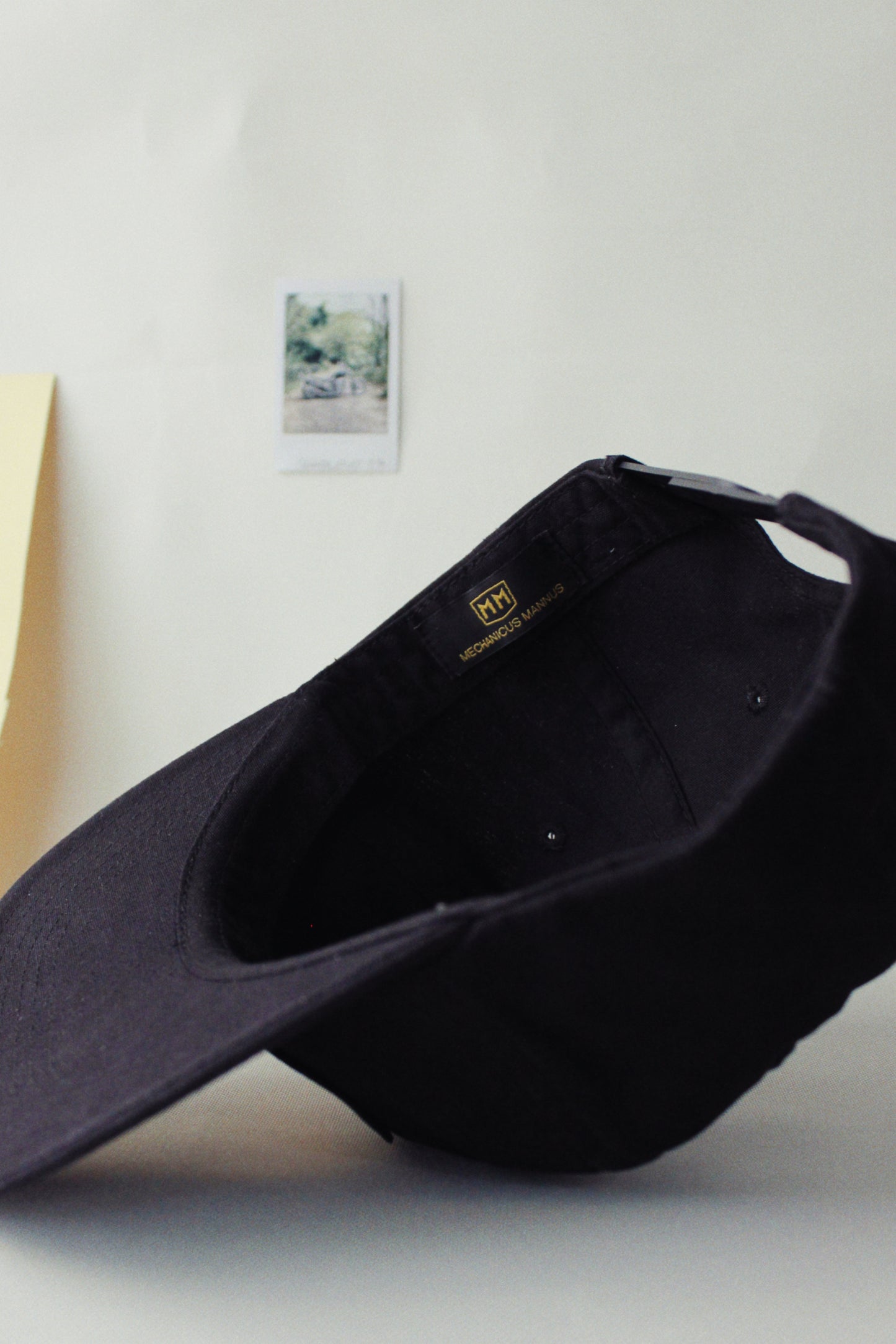 The β flame canvas snap β