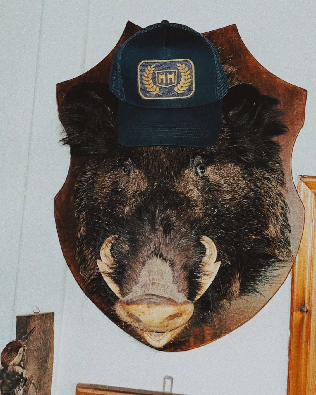 The “victory” snapback